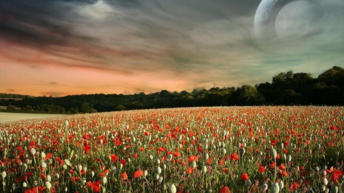 尘螨过敏的最好解决办法是什么？